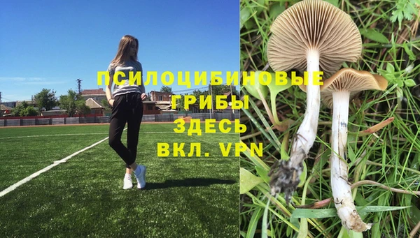 гашиш Баксан