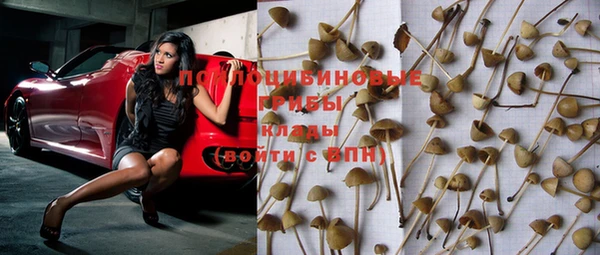 spice Балахна
