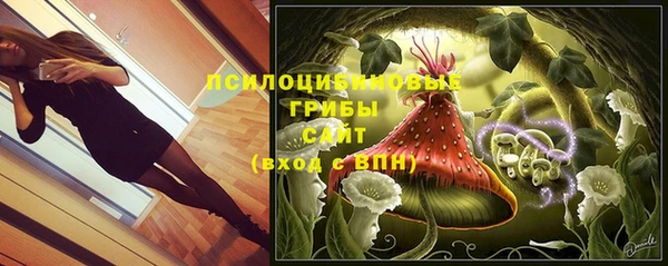 spice Балахна