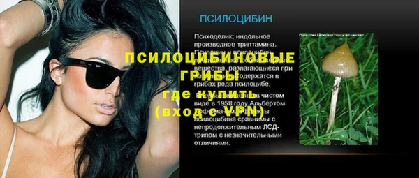 spice Балахна
