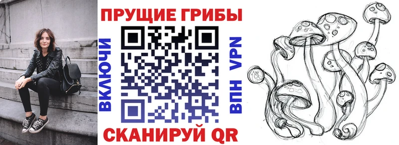 Псилоцибиновые грибы прущие грибы  Шимановск 
